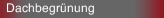 Dachbegrünung
